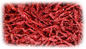 Byadgi Dried Red Chilli Suppliers in Guntur