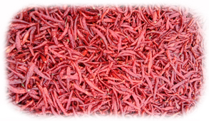 S-17 Teja Dried Red Chilli Exporters in India