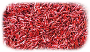 S4/Sannam Dried Red Chilli Exporters in Tamilnadu