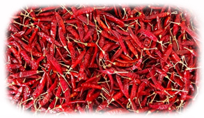 S4/Sannam Dried Red Chilli Exporters in India