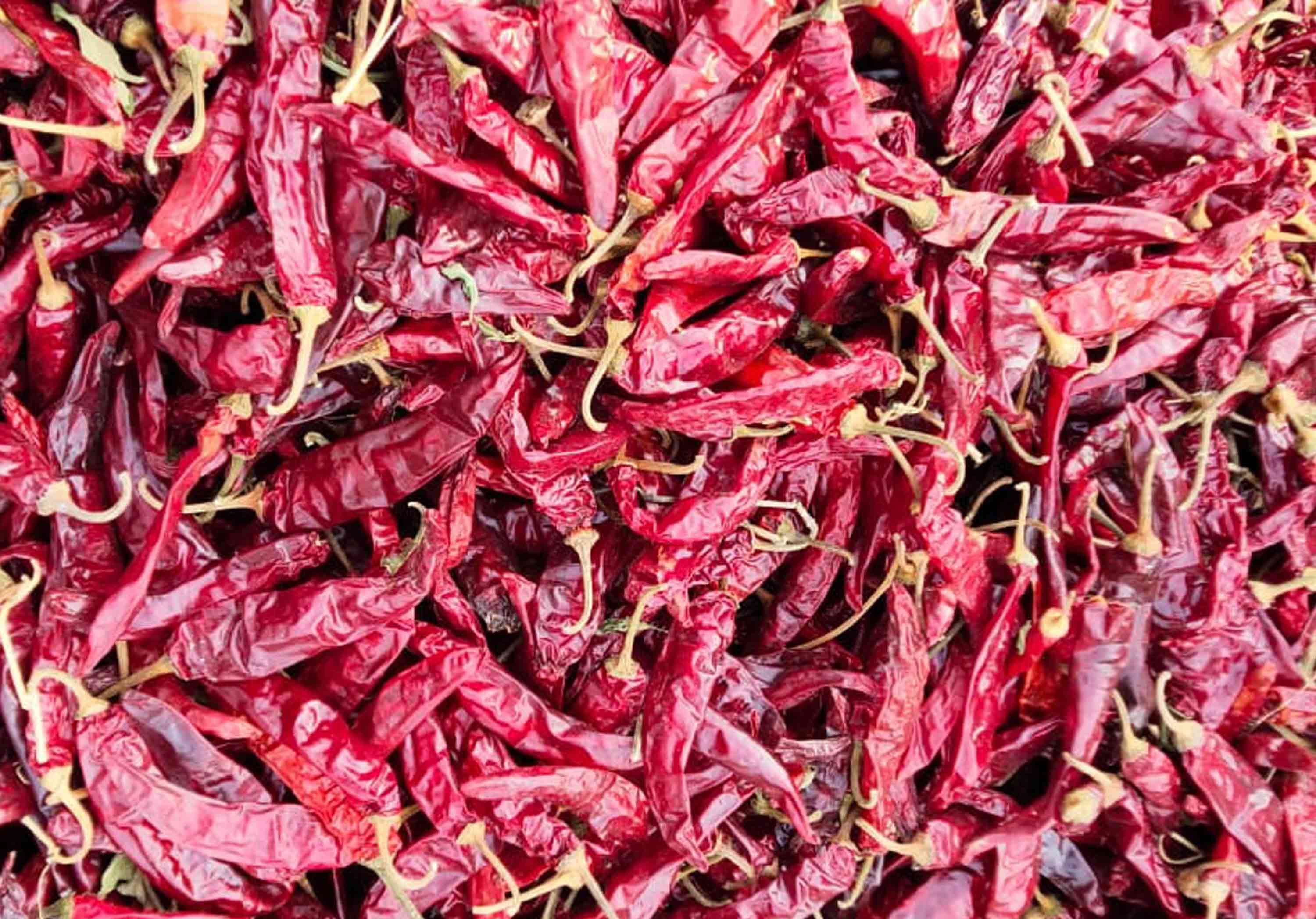 341 Dried Red Chilli Suppliers in India