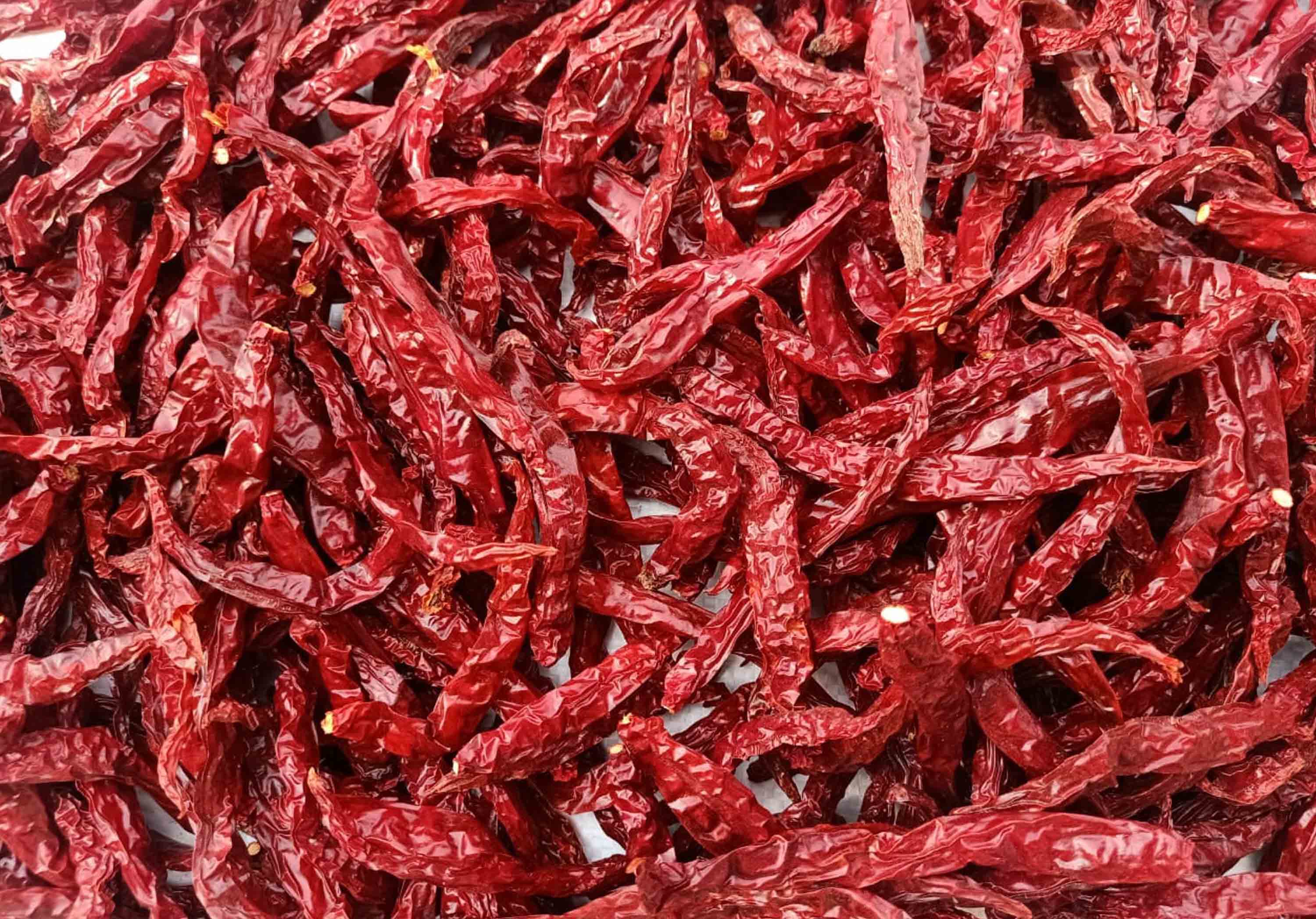 Byadgi Dried Red Chilli Suppliers in India