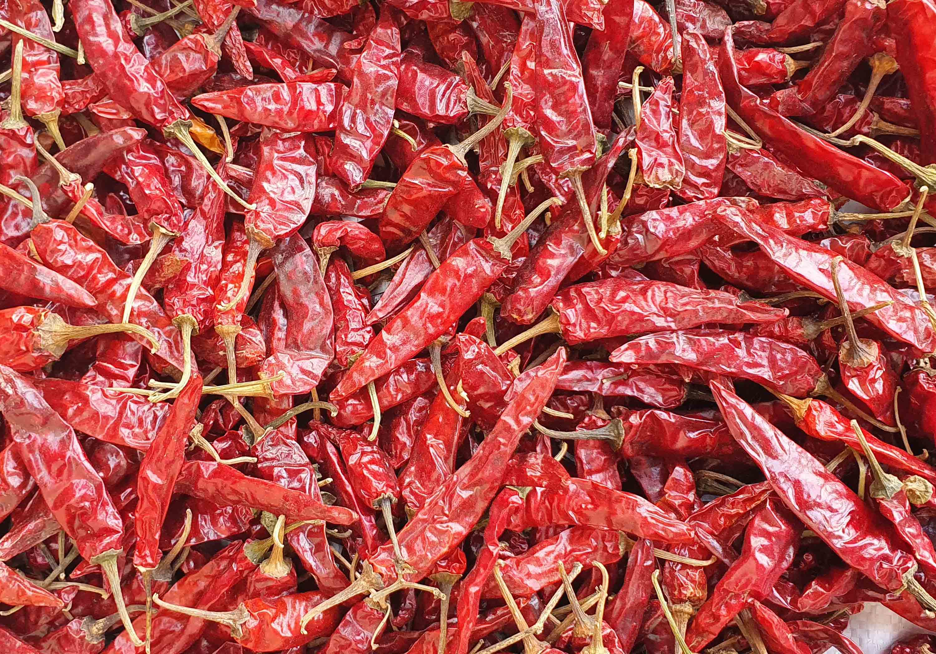 No 5 Dried Red Chilli Suppliers in India