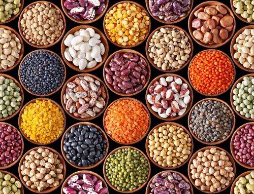 Pulses Exporters in Chennai
