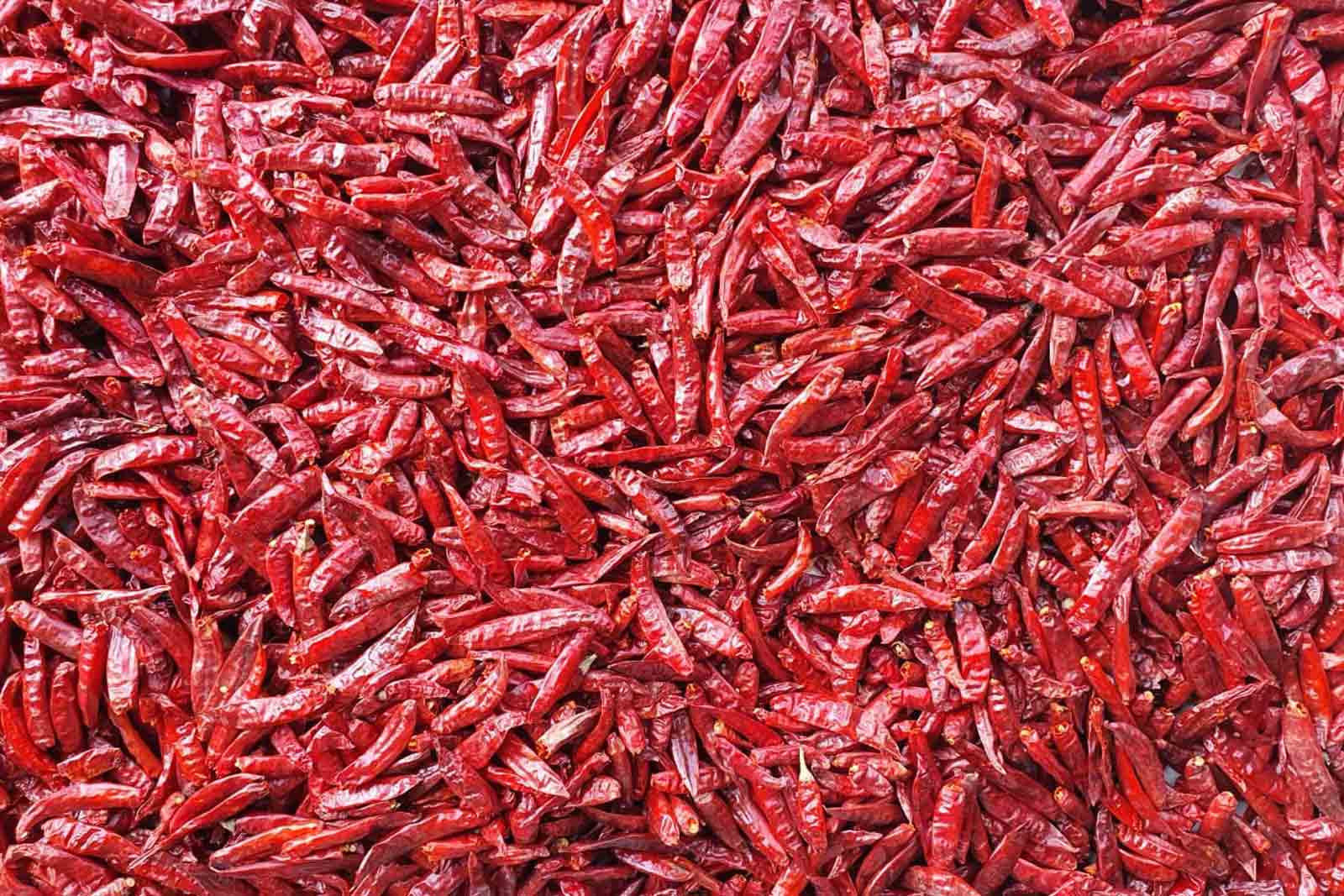 Dry Red Chilli Exporters in India