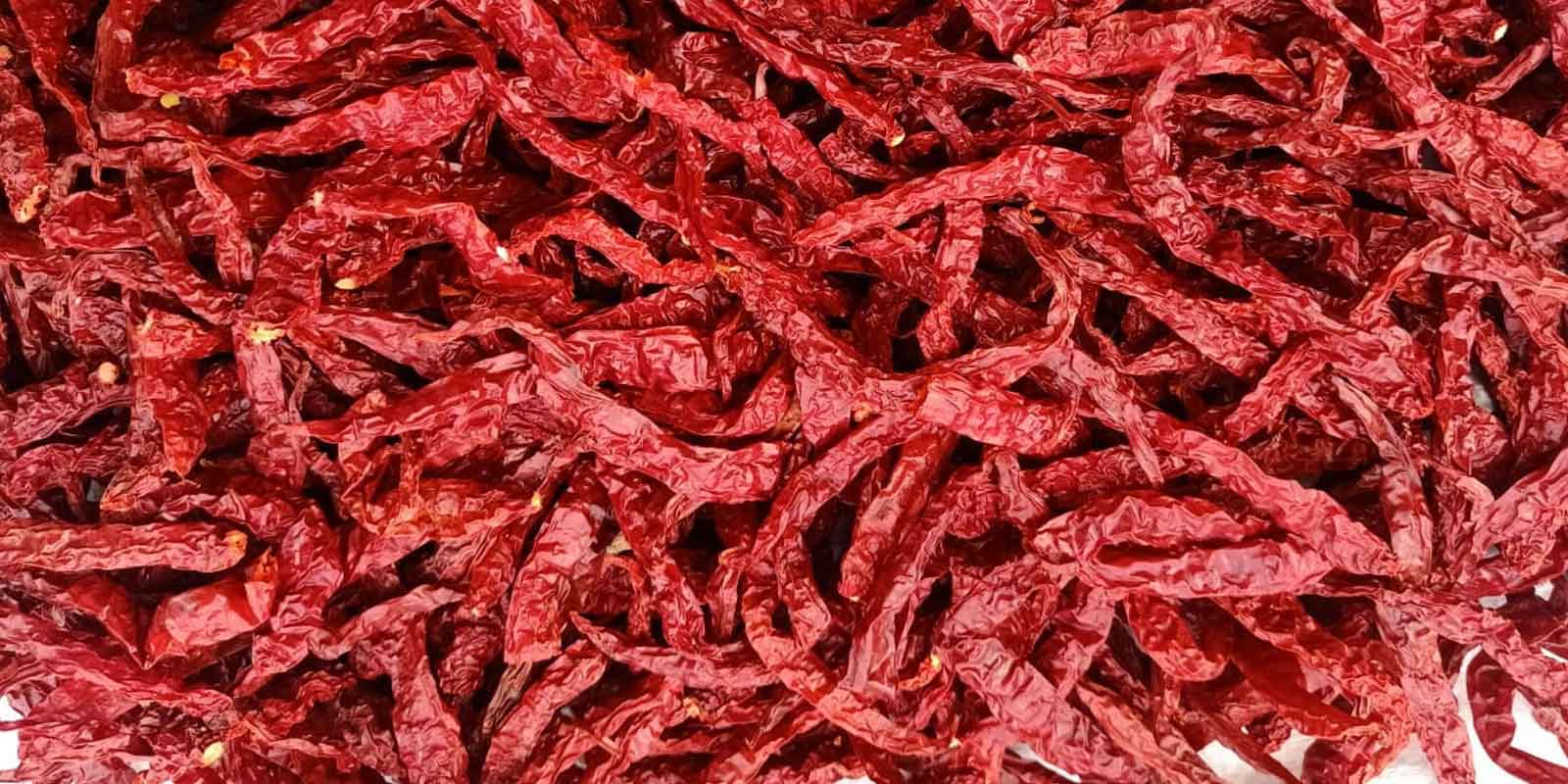 Dry Red Chilli Suppliers in India